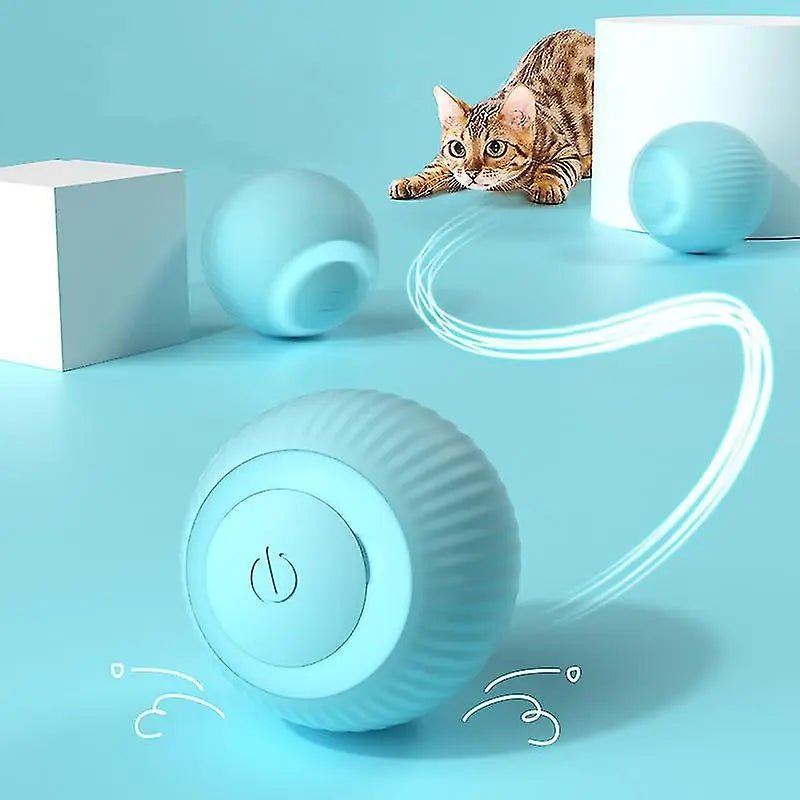 Rolling Ball - PawLuxe