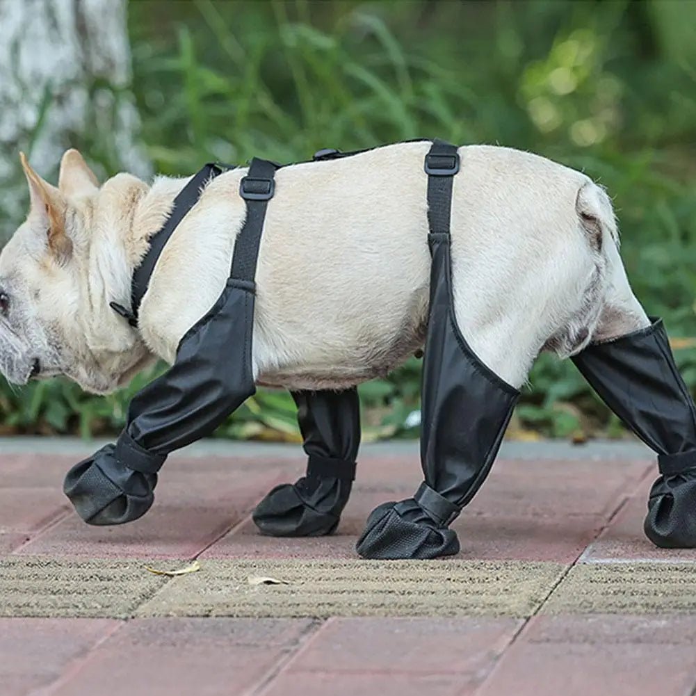 Anti-Slip Dog Shoes - PawLuxe