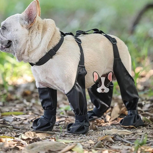 Anti-Slip Dog Shoes - PawLuxe