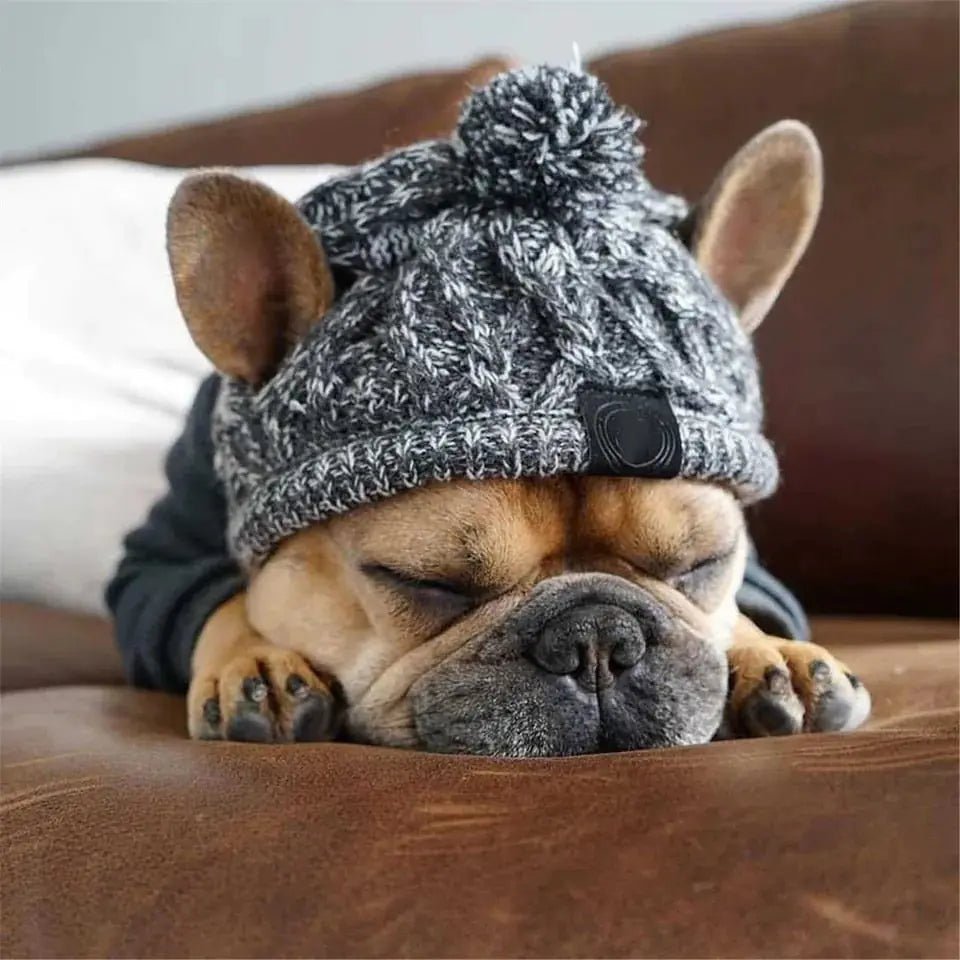 Canine Cap Companion - PawLuxe