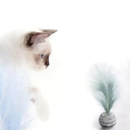 Cat Toy Feather Ball - PawLuxe