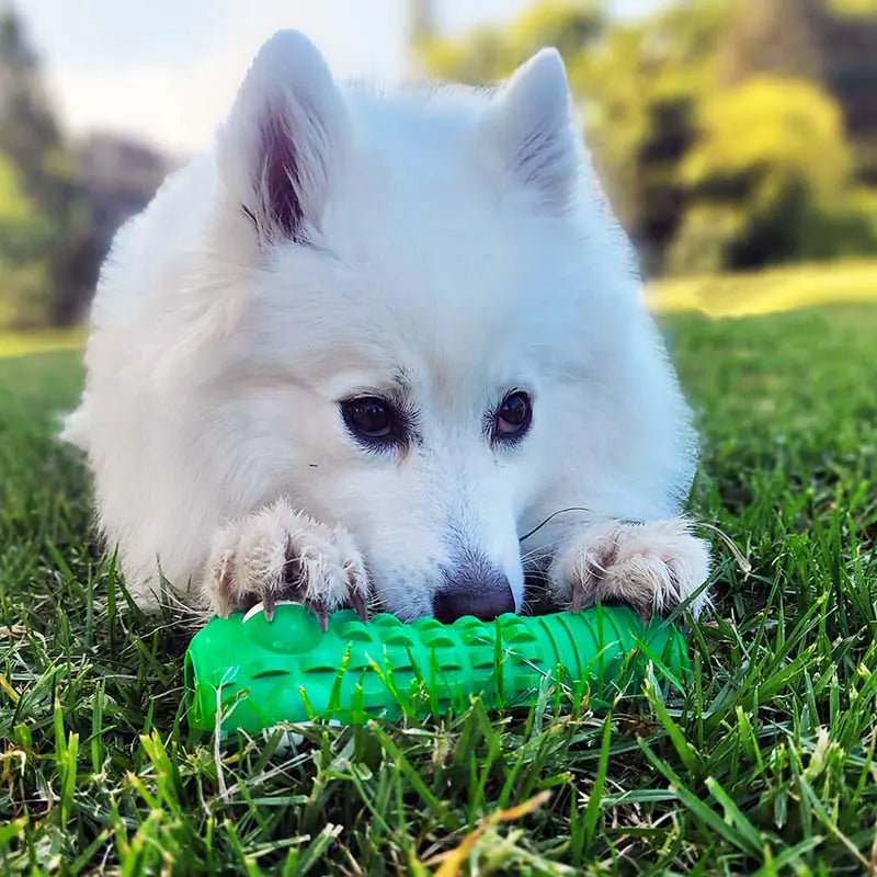 Croc Dental Chew - PawLuxe