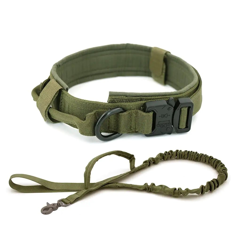 Dog Collar - PawLuxe