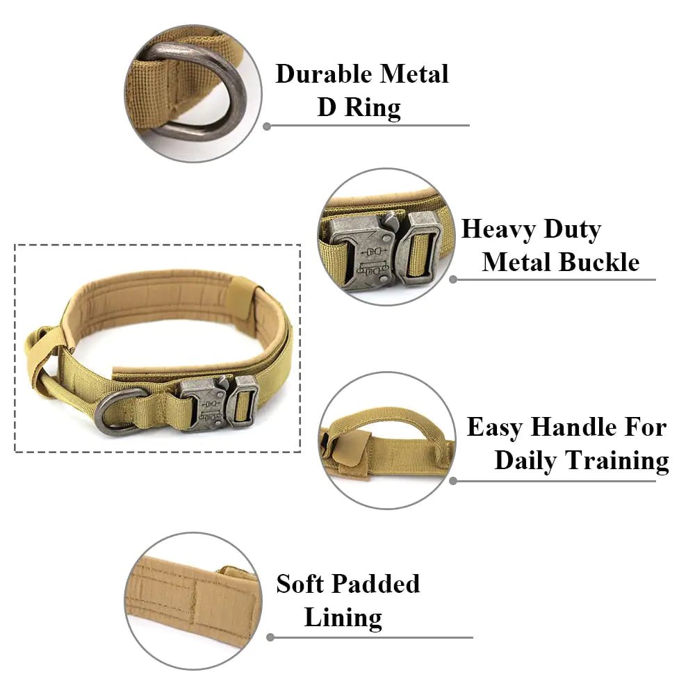 Dog Collar - PawLuxe