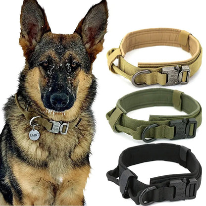 Dog Collar - PawLuxe