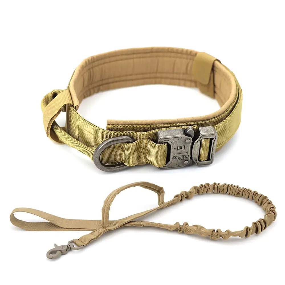 Dog Collar - PawLuxe