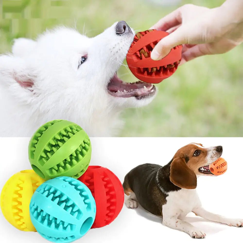 Interactive Toy Balls - PawLuxe