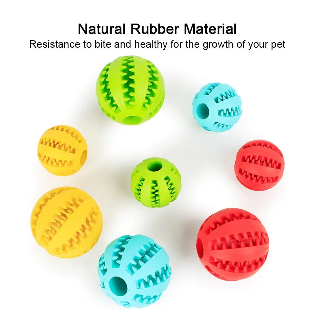 Interactive Toy Balls - PawLuxe