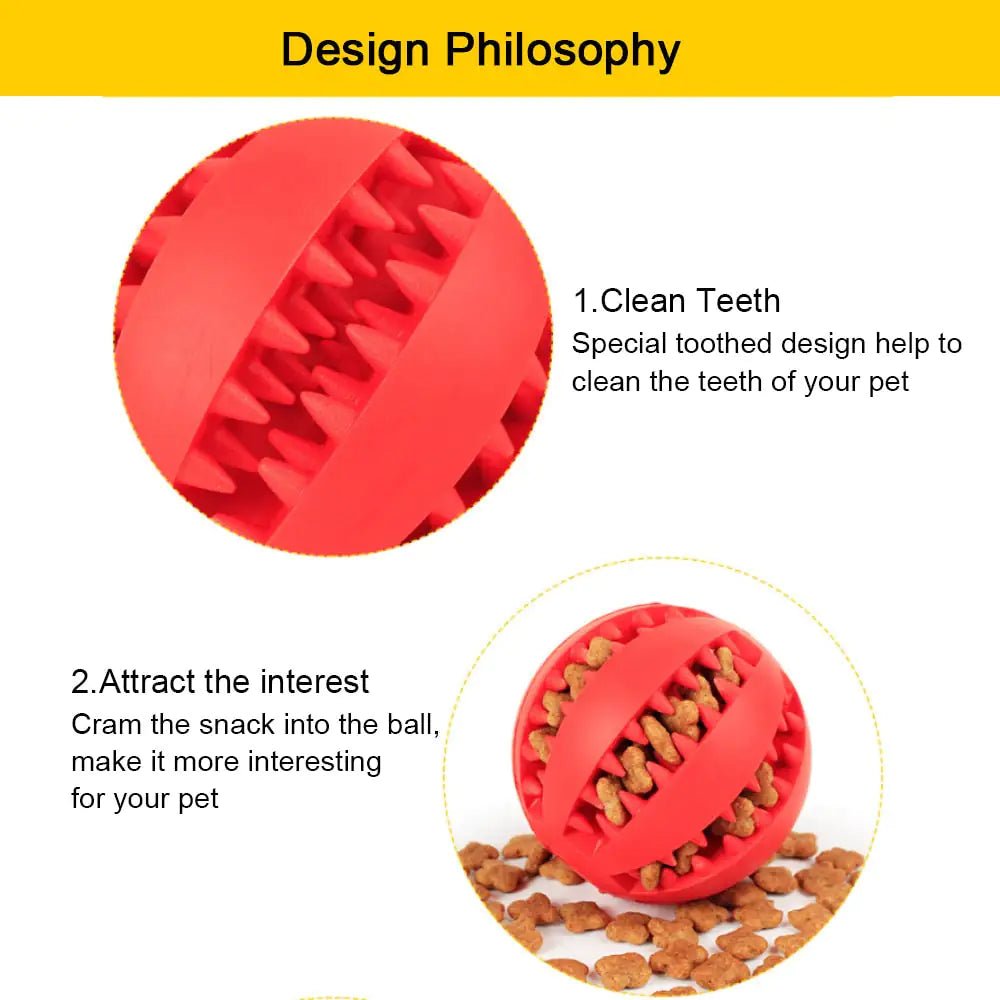 Interactive Toy Balls - PawLuxe