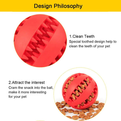 Interactive Toy Balls - PawLuxe