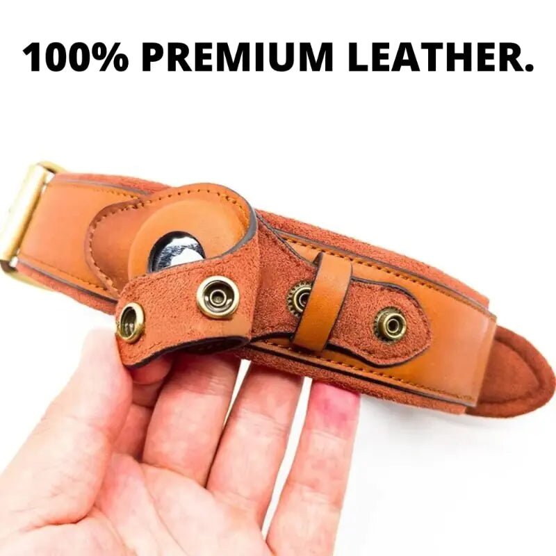 Leather Anti-Lost Dog Collar - PawLuxe