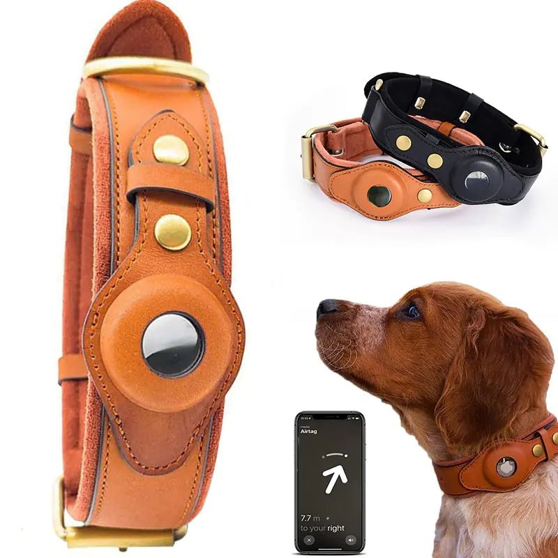 Leather Anti-Lost Dog Collar - PawLuxe
