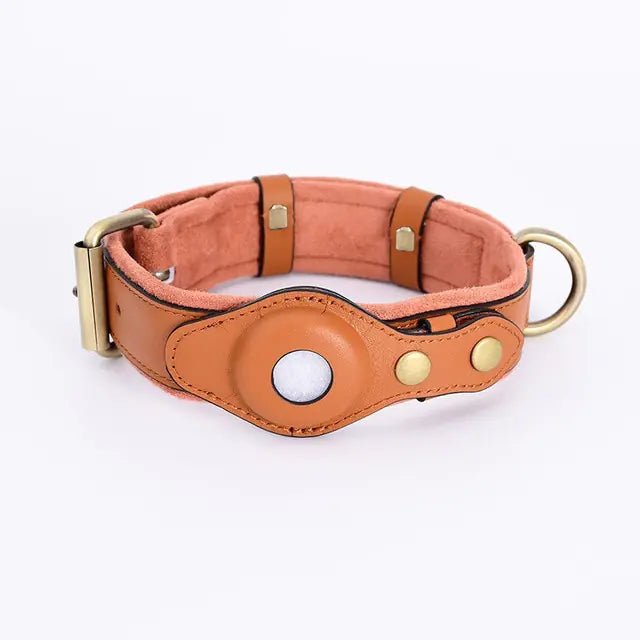 Leather Anti-Lost Dog Collar - PawLuxe