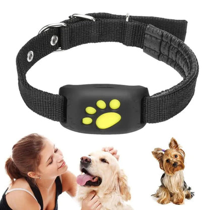 Pet GPS Tracker Collar - PawLuxe