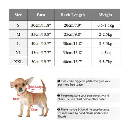 Plush Winter for Dogs - PawLuxe