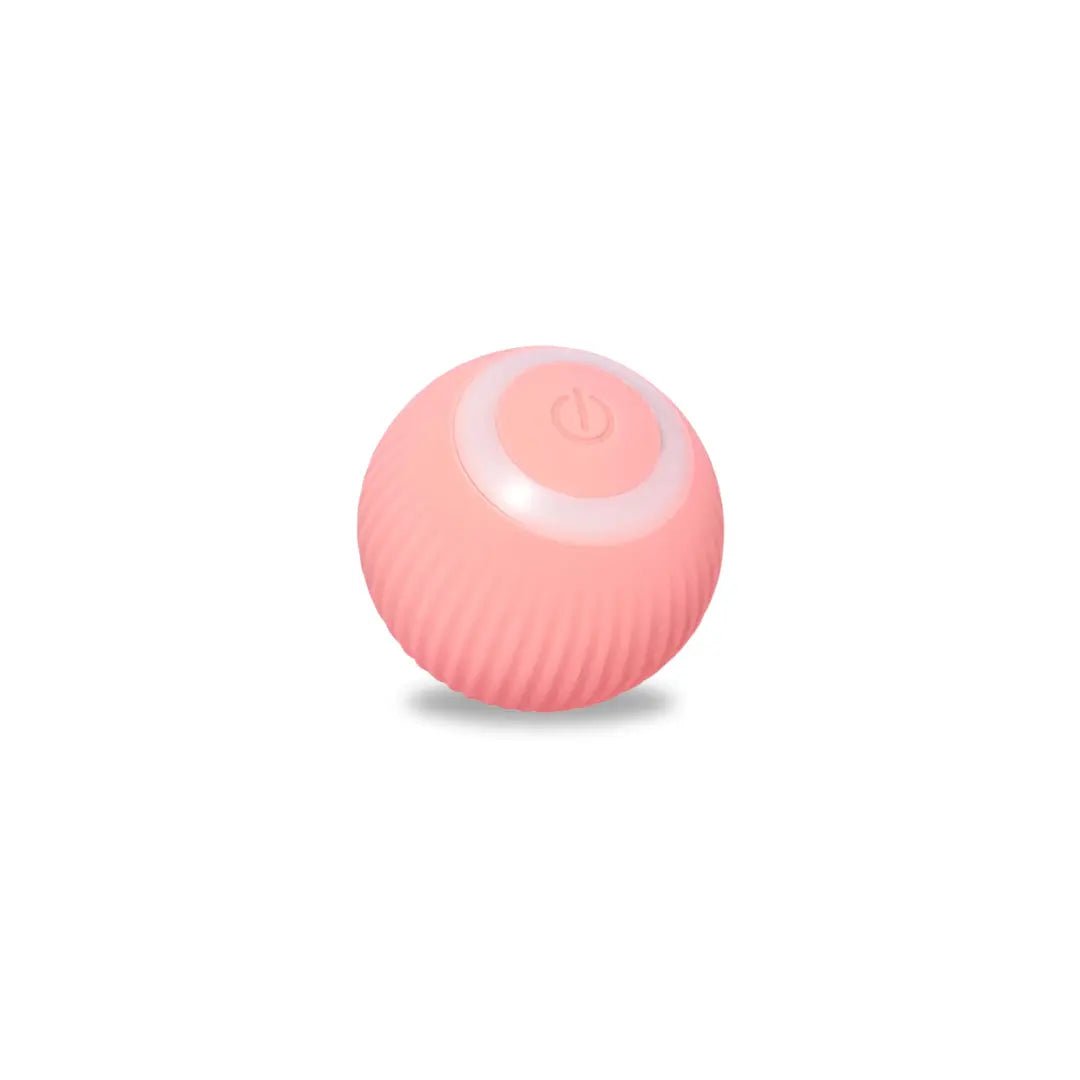 Rolling Ball - PawLuxe