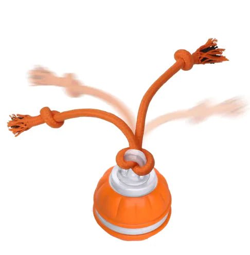 Rolling Dog Ball - PawLuxe