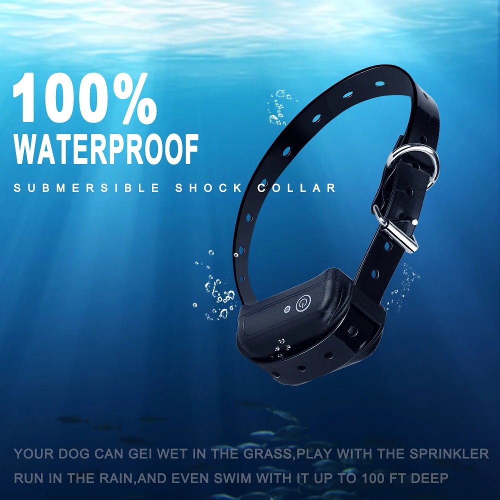 SafePet Wireless Fence - PawLuxe