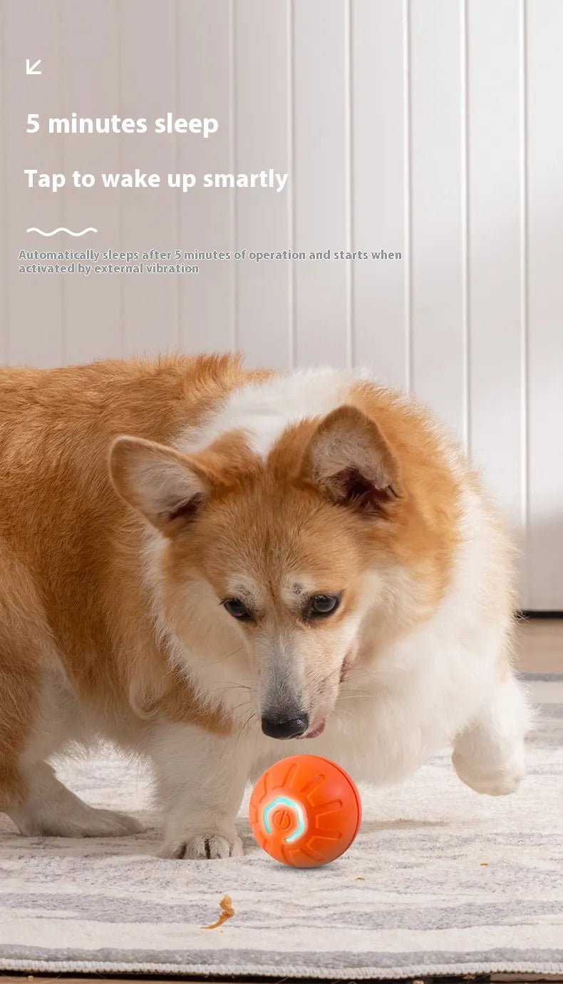 Smart Interactive Dog Toy Ball - PawLuxe