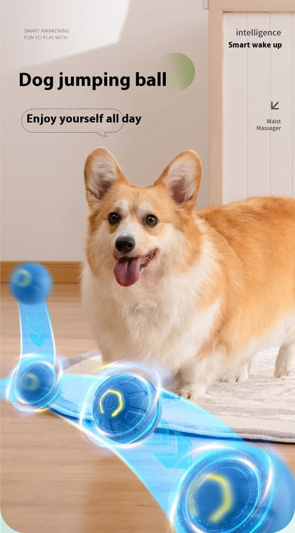 Smart Interactive Dog Toy Ball - PawLuxe