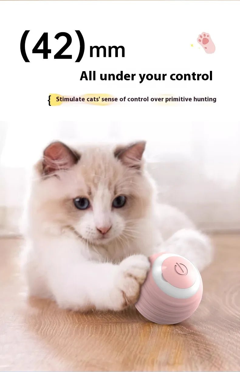 Smart Interactive Dog Toy Ball - PawLuxe