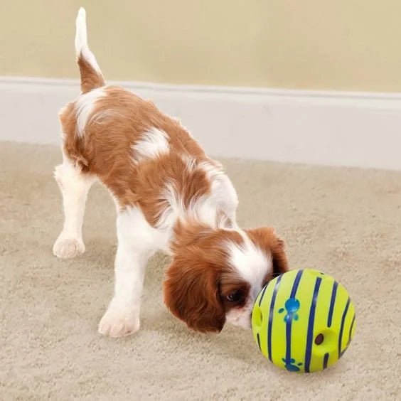 The Wobble Wag - PawLuxe