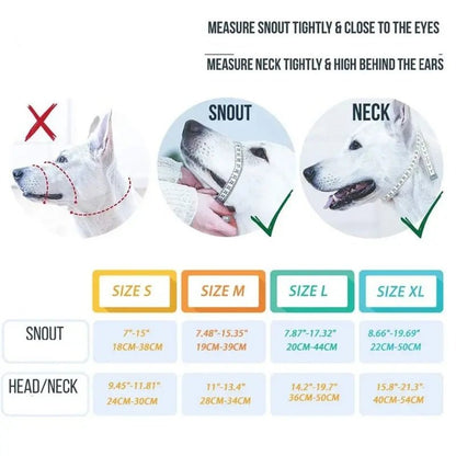 Training Collar - PawLuxe