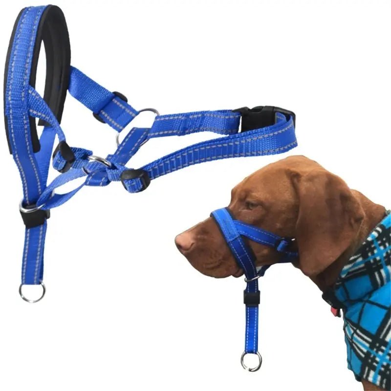Training Collar - PawLuxe