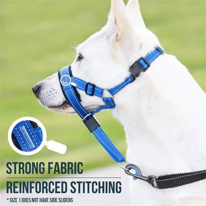 Training Collar - PawLuxe