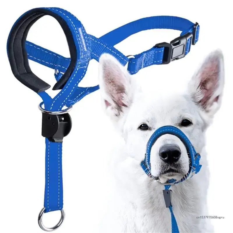 Training Collar - PawLuxe