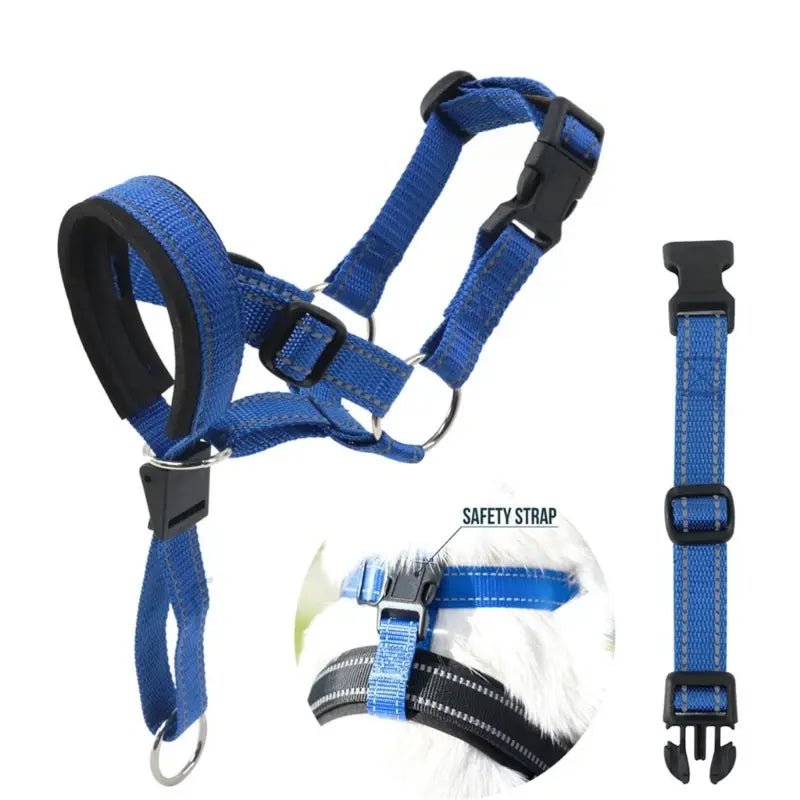 Training Collar - PawLuxe